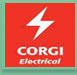 corgi electric Kingsteignton